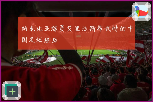 纳米比亚球员艾里法斯希武特的中国足坛经历