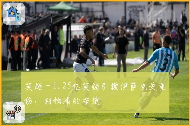 英超 - 1.25亿英镑引援伊萨克受重伤，利物浦的苦楚