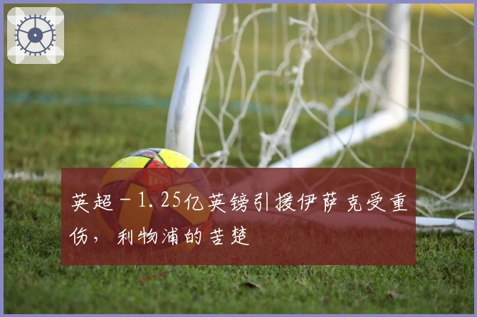 英超 - 1.25亿英镑引援伊萨克受重伤，利物浦的苦楚